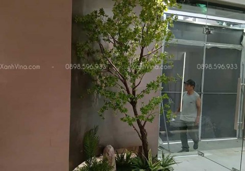 Thi công tiểu cảnh cây giả cho showroom thiết bị vệ sinh TOTO Dũng Điệp